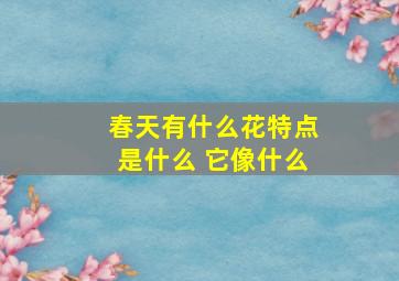 春天有什么花特点是什么 它像什么